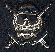 US Army Qualification Badges