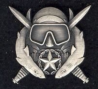 US Army Qualification Badges